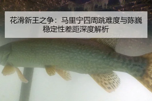 花滑新王之争：马里宁四周跳难度与陈巍稳定性差距深度解析