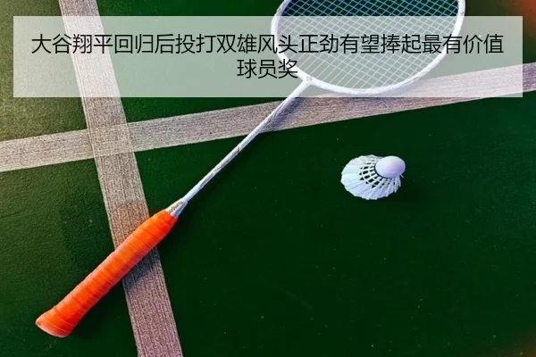 da-gu-xiang-ping-hui-gui-hou-tou-da-shuang-xiong-feng-tou-zheng-jin-you-wang-peng-qi-zui-you-jia-zhi-qiu-yuan-jiang-3-712.jpg